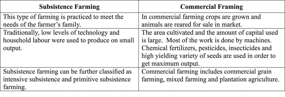 Economic Importance Of Sorghum-Contract Farming Paper